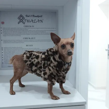 Othalan Διαμέρισμα *