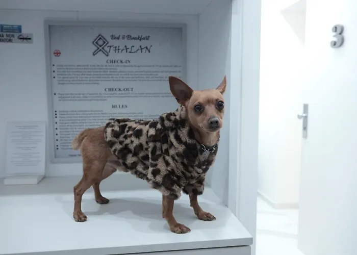 Othalan Апартаменты *